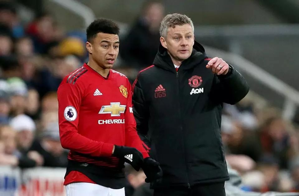 据库巴西的 据库巴西的